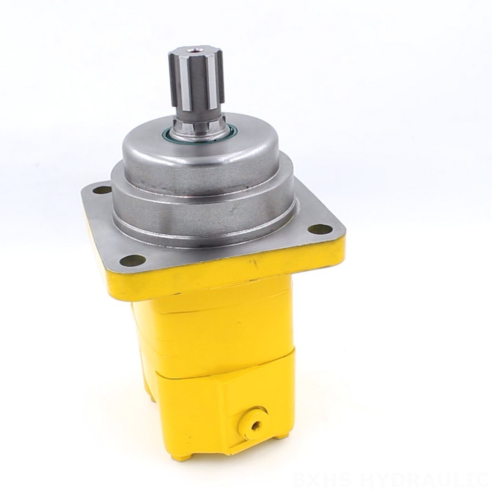 BM5W Cycloid Hydraulic Motor: OEM & ODM Services Available - 195 cc/r 75 Lpm image